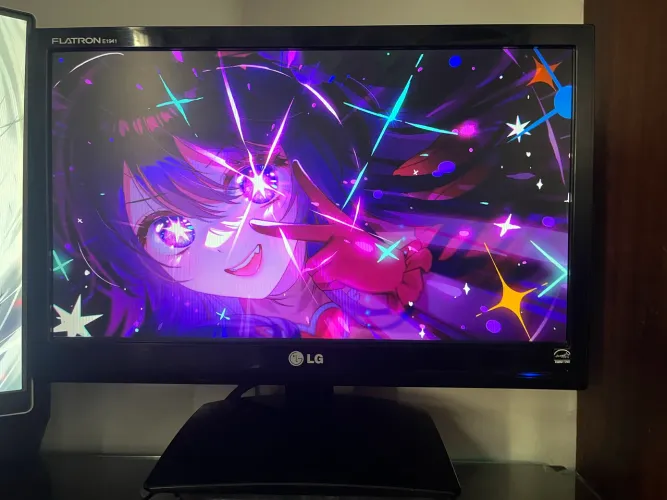 Monitor LG 19 Polegadas 
