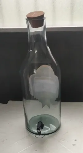 Garrafão de vidro 10 lts