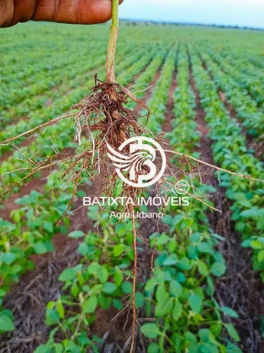 Imóvel para venda tem 1000 metros quadrados em Zona Rural - Lagoa do Tocantins - TO