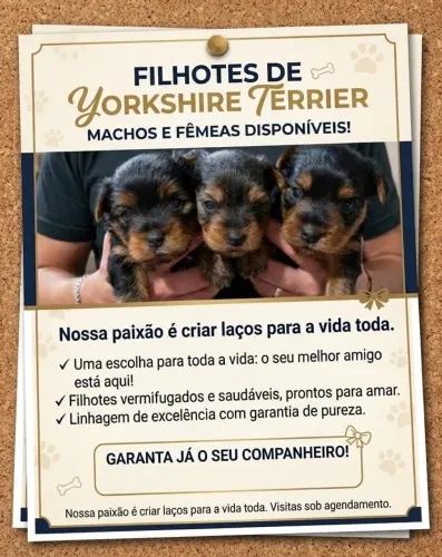 Filhote de yorkshire