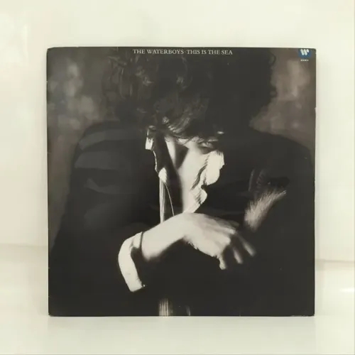 LP VINIL - THE WATERBOYS - THIS IS THE SEA COM CAPA INTERNA ANO 1987 ENSIGN RECORDS LTD.