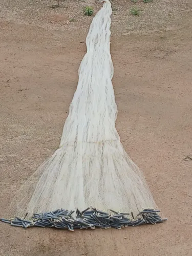 Tarrafa de camarão .