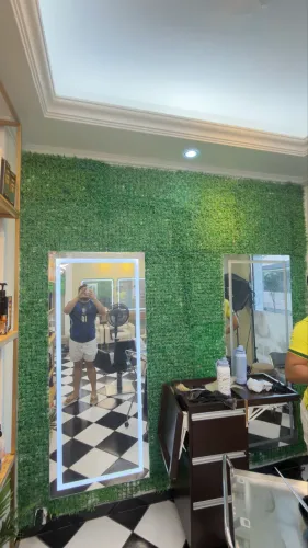 Vendo plantas de decoração