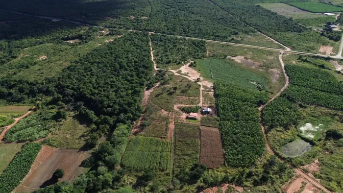 Terreno/lote