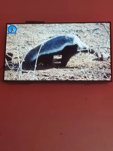 Tv Samsung 43 polegadas smart, Android