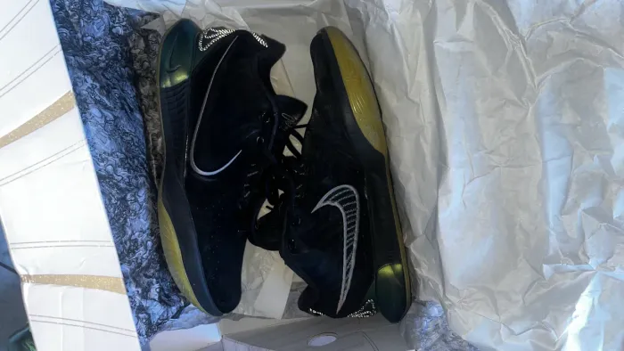 Nike Lebron 21