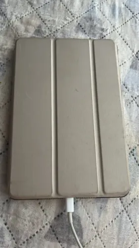 Mini iPad 