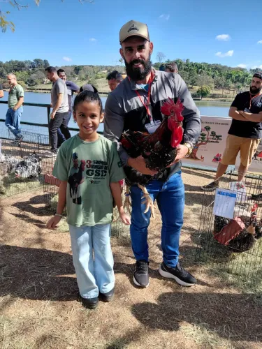 Gsb , galinha sertaneja balão