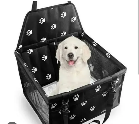 Assento cadeira Transporte Pet