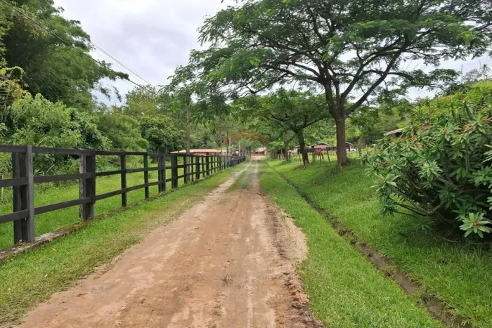 RE/MAX VENDE Fazenda / Haras na região de Amparo com 16 alqueires paulistas, área de lavou