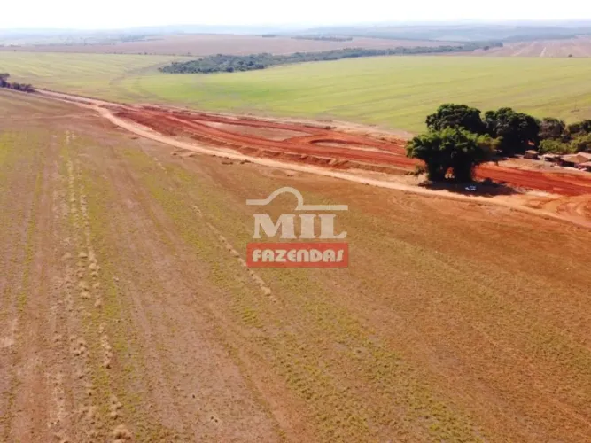 Fazenda 84 Alqueires (406,56 Hectares) Doverlândia - GO