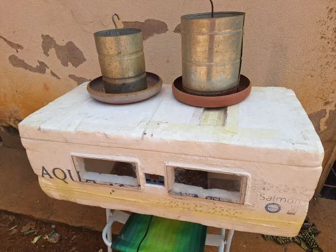 Chocadeira e comedores de galinhas