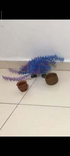 Decoração de aquario 