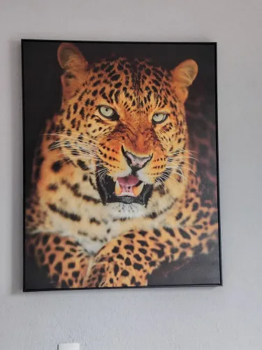 Quadro Decorativo
