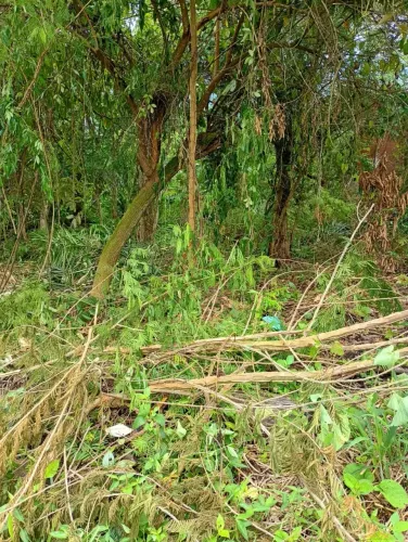 Excelente terreno a venda em Sambaetiba, Itaboraí-RJ