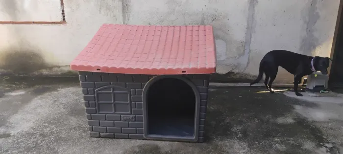 Casa de cachorro grande 