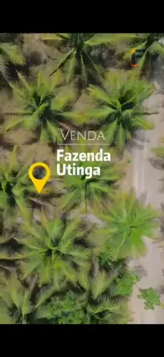 Fazenda Atalaia/ Pilar