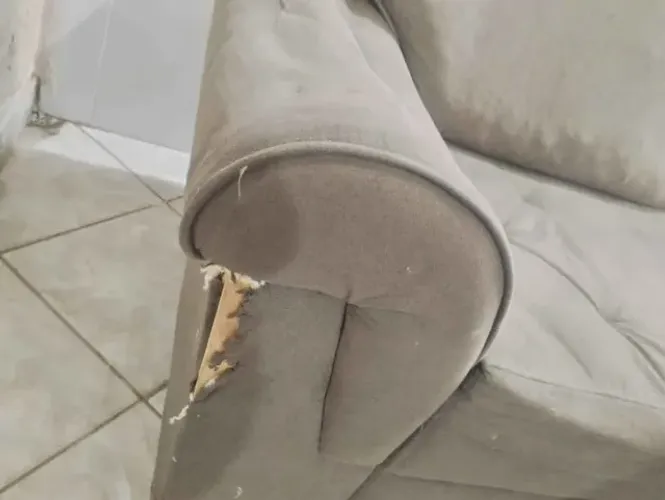 sofa
