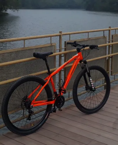 Bicicleta aro 29