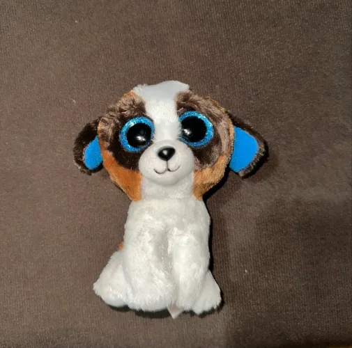 Pelúcia Tu Beanie boo olhos brilhantes - brinquedo de cachorrinho