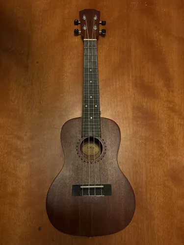 Ukulele concert