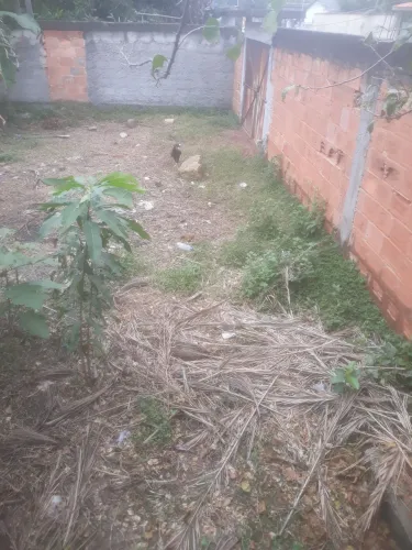 Terreno a venda no jardim barro branco