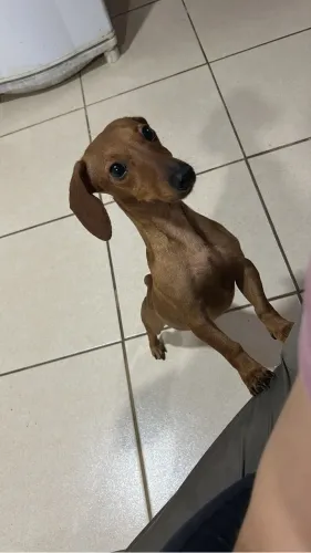Doação 