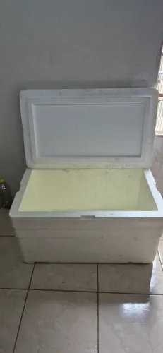 Caixa de isopor 170 l com dreno