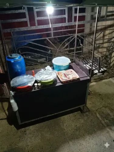 Carrinho de churrasco 