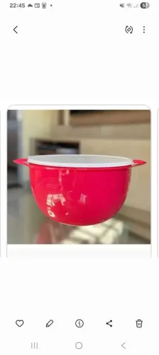 Tupperware 10L