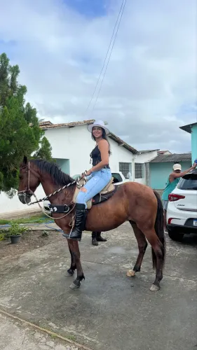 Cavalo a venda
