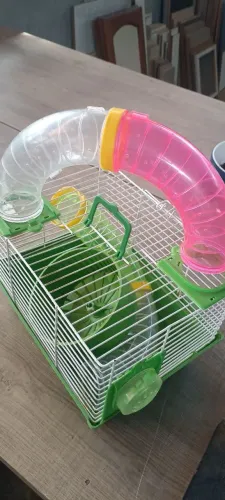 Gaiola de hamster