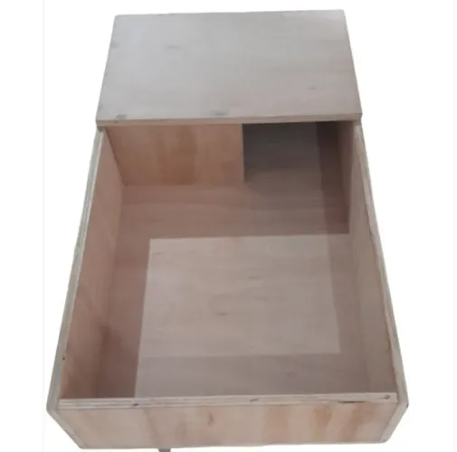 Terrário para o seu bichinho de estimação