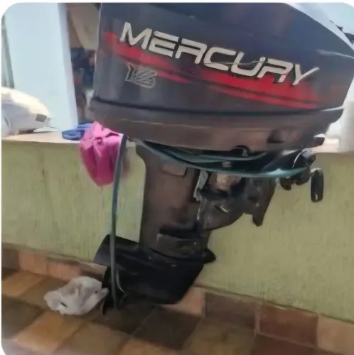 Motor mercury