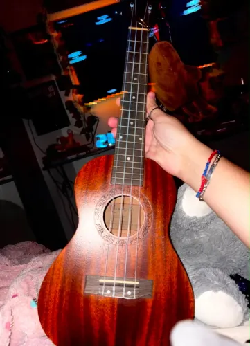 Ukulele namaste concert