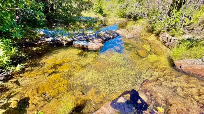 50 ha Com Água, Fazenda Lavrinha - Alto Paraíso de Goiás / Teresina de Goiás 