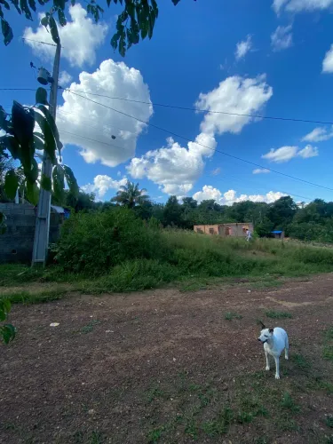 Vendo Terreno - Ramal do caldeirão em Iranduba
