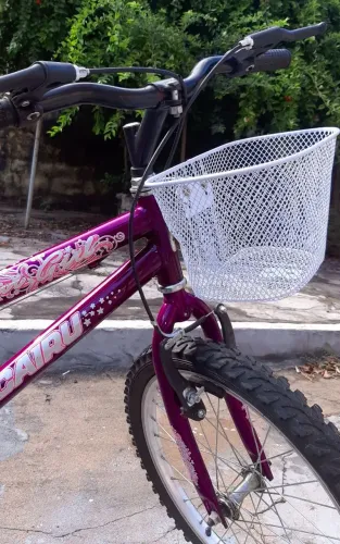 Bicicleta Infantil