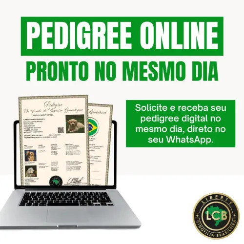 Pedigree 