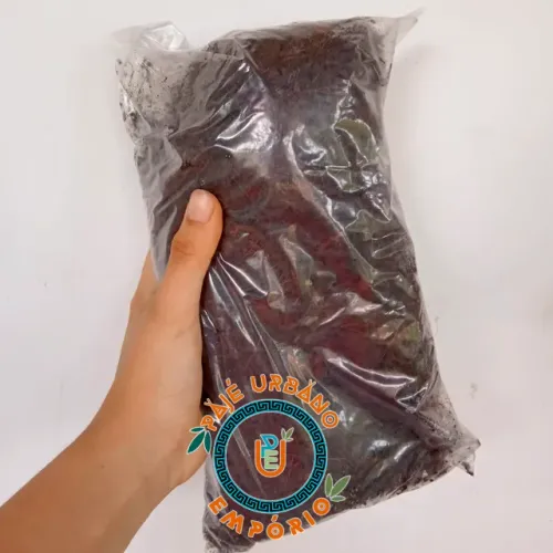Substrato para Antúrio| 2 Litros - Pronta Entrega!