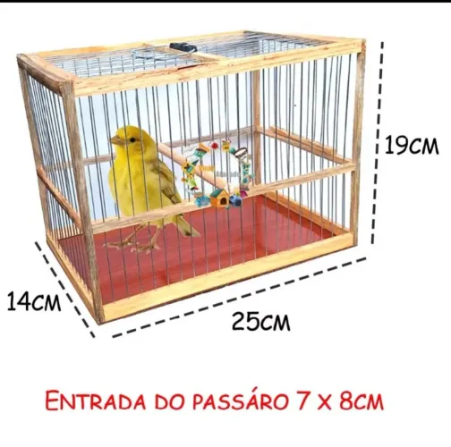 DE PASSEIO NOVA