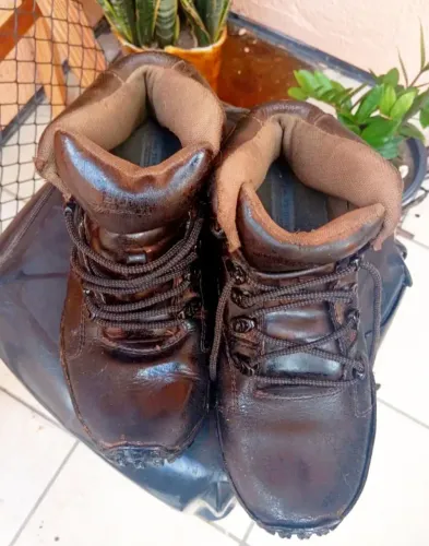 Bota Bull Terrier Top