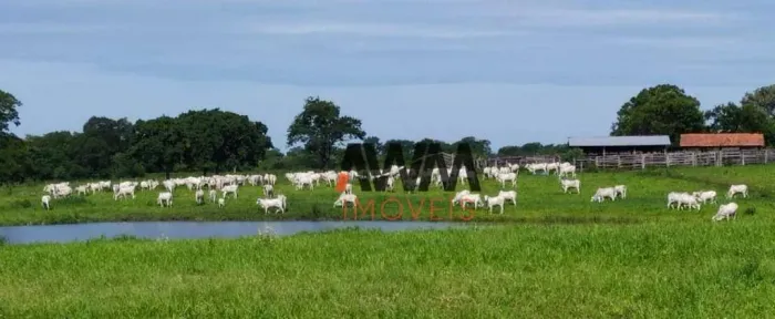 Fazenda à venda, 16900000 m² por R$ 59.150.000,00 - Zona Rural - Miranda/MS