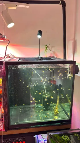 Vendo Aquário 150L