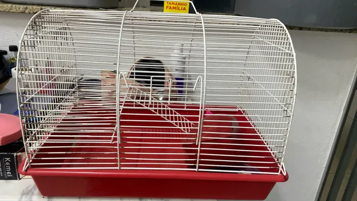 Gaiola para hamster