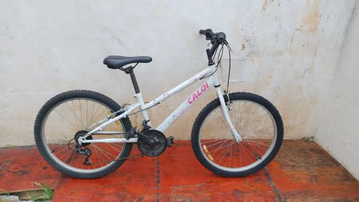 Bicicleta Caloi Ceci Aro 24