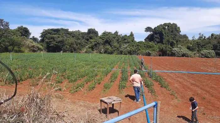 Chacara Planaltina DF irrigada trifásica 