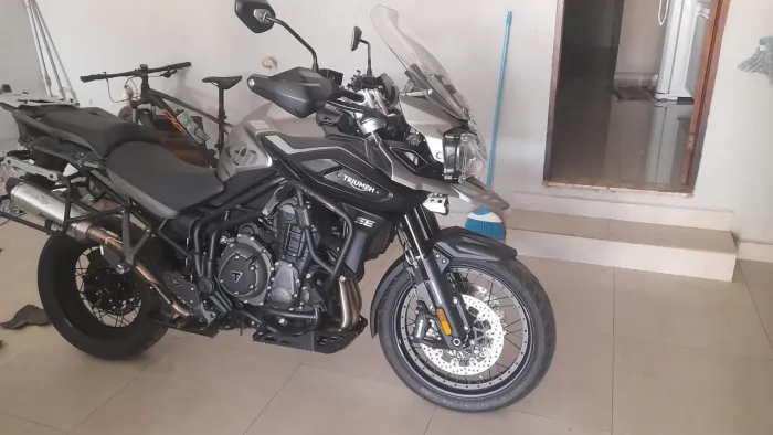 Trump  taiger 1200  2021 2021