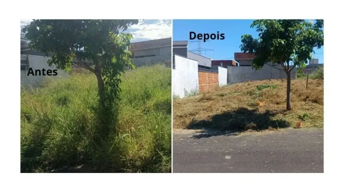 Terreno à venda, 200 m² por R$ 105.000,00 - Jardim das Palmeiras - Bady Bassitt/SP
