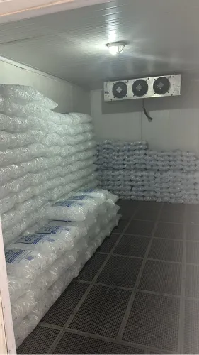 Ajudante de motorista 